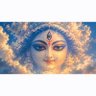 Rajendra M. Kapoor's profile picture