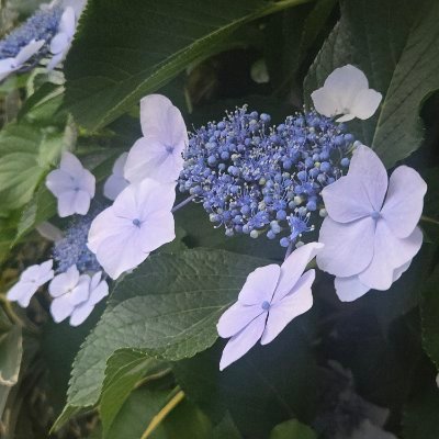 UJ3_57's profile picture