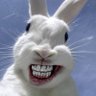 carolus RigGy's profile picture