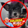 Фото профиля Herdeira dos problemas