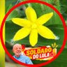 dourado profil fotoğrafı