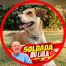 Фото профиля Projeto Ingênuo de Felicidade