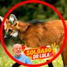 Profilbild von Br