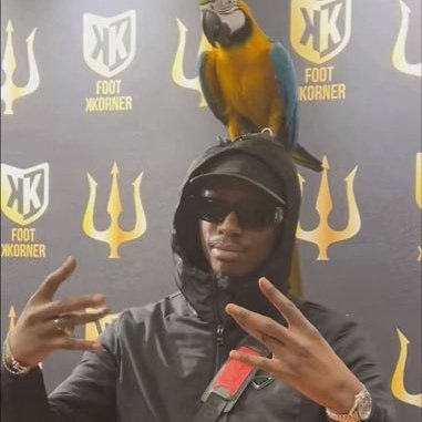 legerpaslourd's profile picture