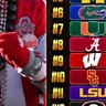 TAMPA GATOR 的头像