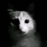 depression's profile picture