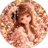 ヤッピー's profile picture