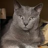Donnybrook's profile picture