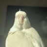 Profilbild von Burb