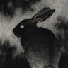 Profilbild von fartbunny