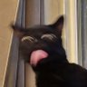 STACKNKEETA's profile picture