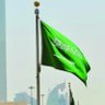 راشد's profile picture