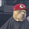 Jah's profile picture