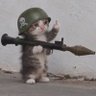 Catillionaire's profile picture