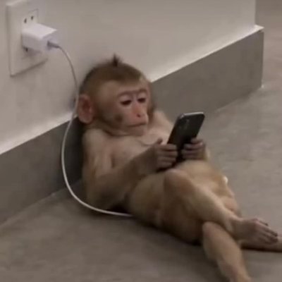 b's profile picture