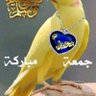 النجم 的头像