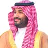 Profilbild von صقر
