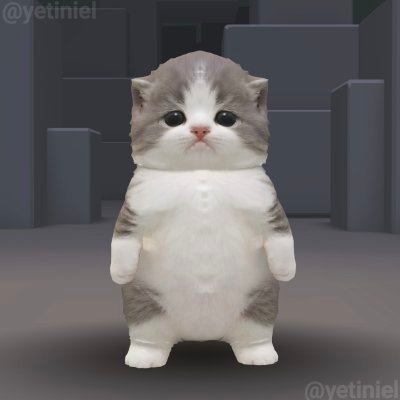 Cats funny's profile picture