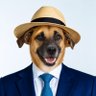 doutora's profile picture