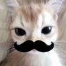 jess's profile picture
