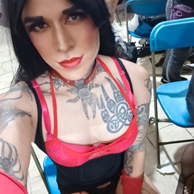 Romatv's profile picture