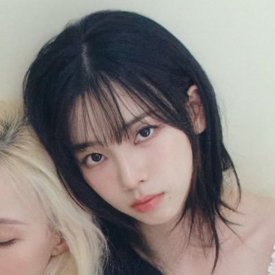 light's profile picture