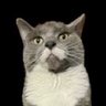 Profilbild von tsmhitdaquan