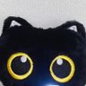 pichupy's profile picture