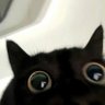 Profilbild von 钟俞一