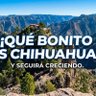 Фото профиля ALFONSO OLIVARES