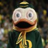 Mr.CollegeFootball's profile picture