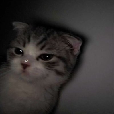daddyj1n's profile picture