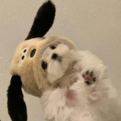 티's profile picture