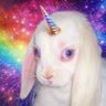 Profilbild von What the chile
