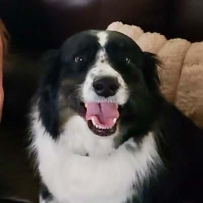 Paul Bronks's profile picture
