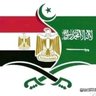 Profilbild von ابراهيم محمود