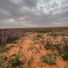 Фото профиля فهد