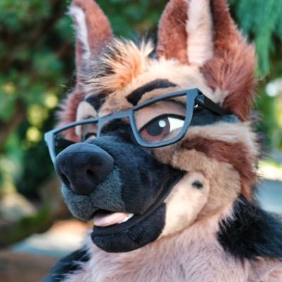 lycan da shep 🔜 phallo ⚧️⁉️'s profile picture