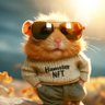 Profilbild von HamsterNFT 🐹
