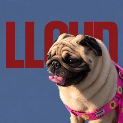 ORIGINALNARIᴸᴸᴼᵁᴰ's profile picture