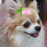 🌱野風✧˖°'s profile picture