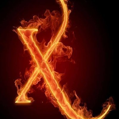 Li666sota's profile picture