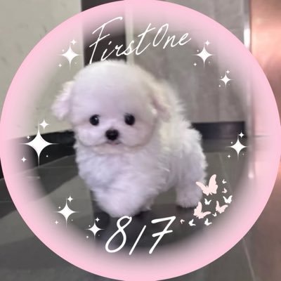 กอตอ ft.8/7's profile picture
