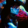 Фото профиля tegs