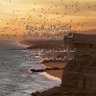شــ profil fotoğrafı