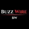 Profilbild von BUZZ WIRE