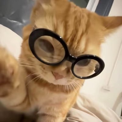 linlin_08_'s profile picture