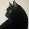 jade profil fotoğrafı