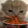 Spuhnn (best Mercy NA)'s profile picture