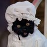 Profilbild von jurídico dona cininha
